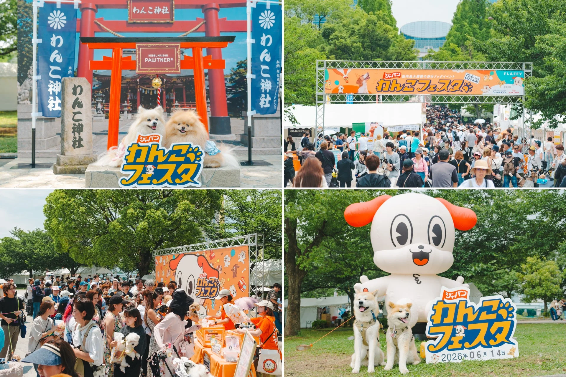 わんこ神社、屋外ドッグイベントの様子