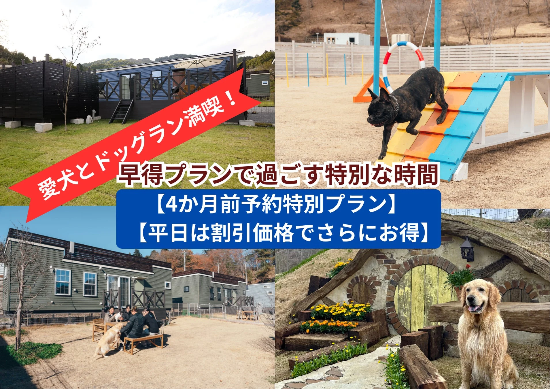 愛犬とドッグラン満喫の早得プラン案内