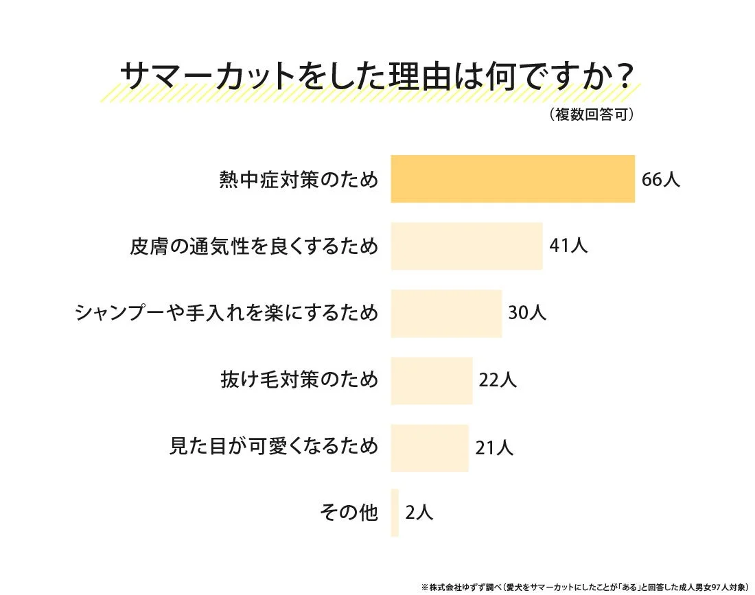 サマーカットをした理由は何ですか?