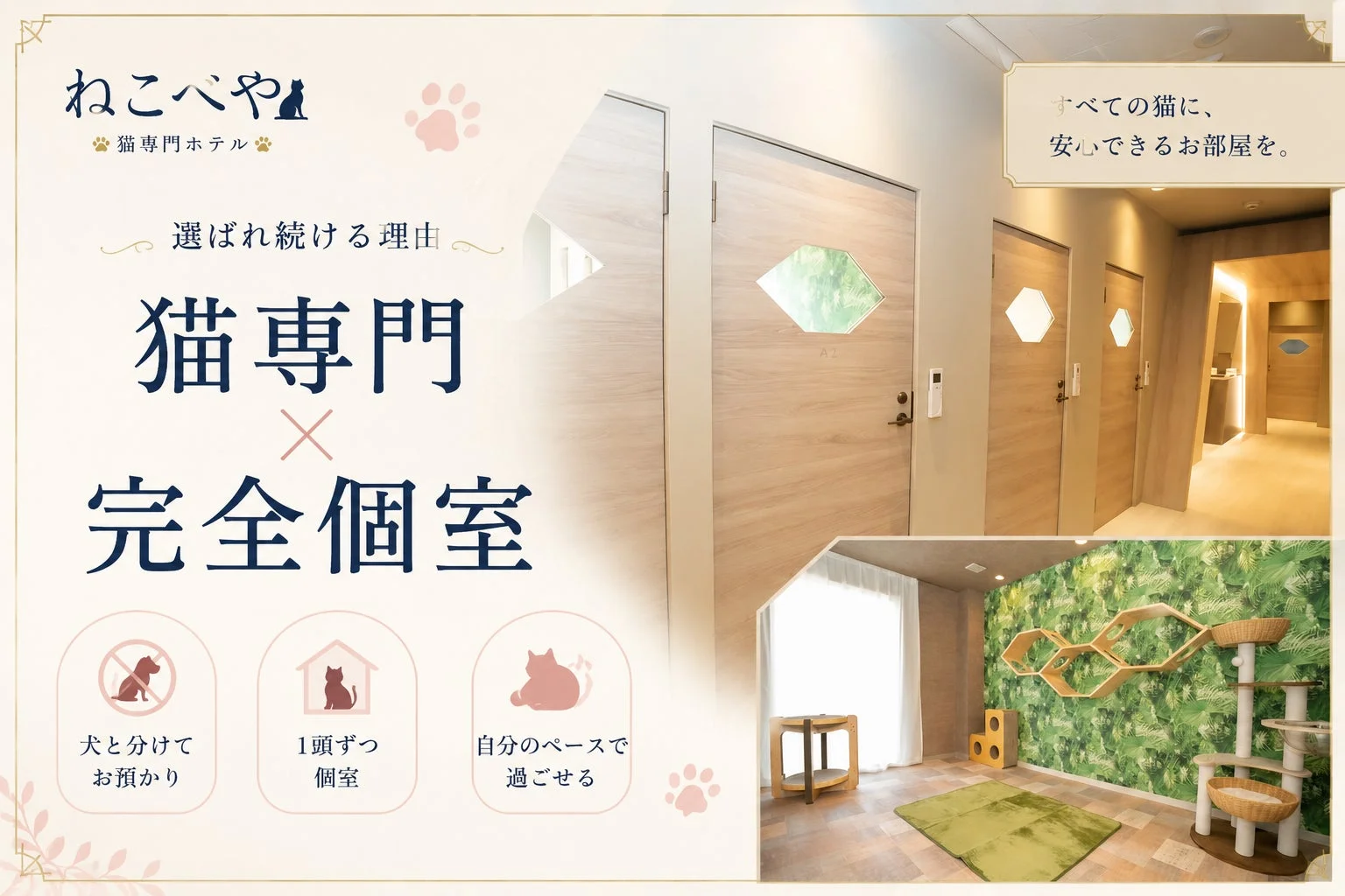 猫専門ホテル『ねこべや』が選ばれる理由