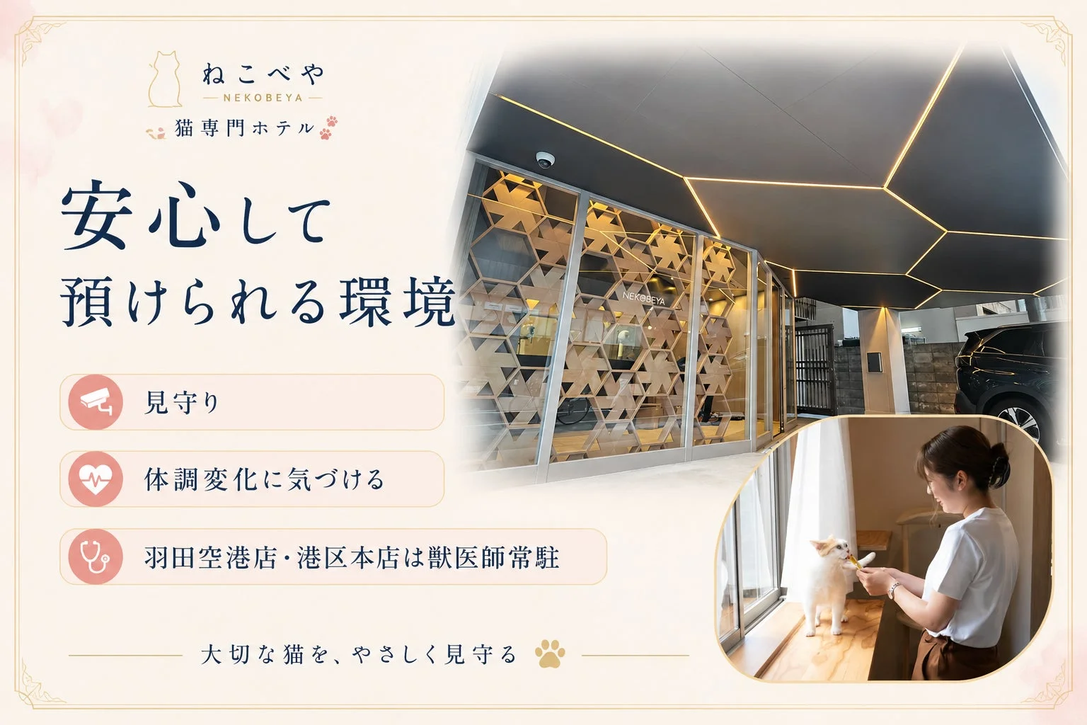 猫専門ホテル『ねこべや』の安心できる環境