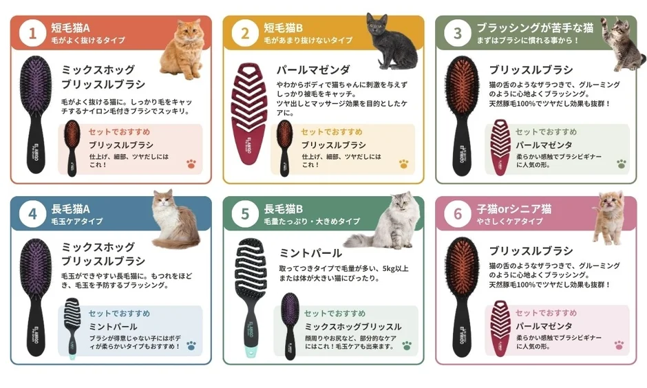 6つのセレクト基準