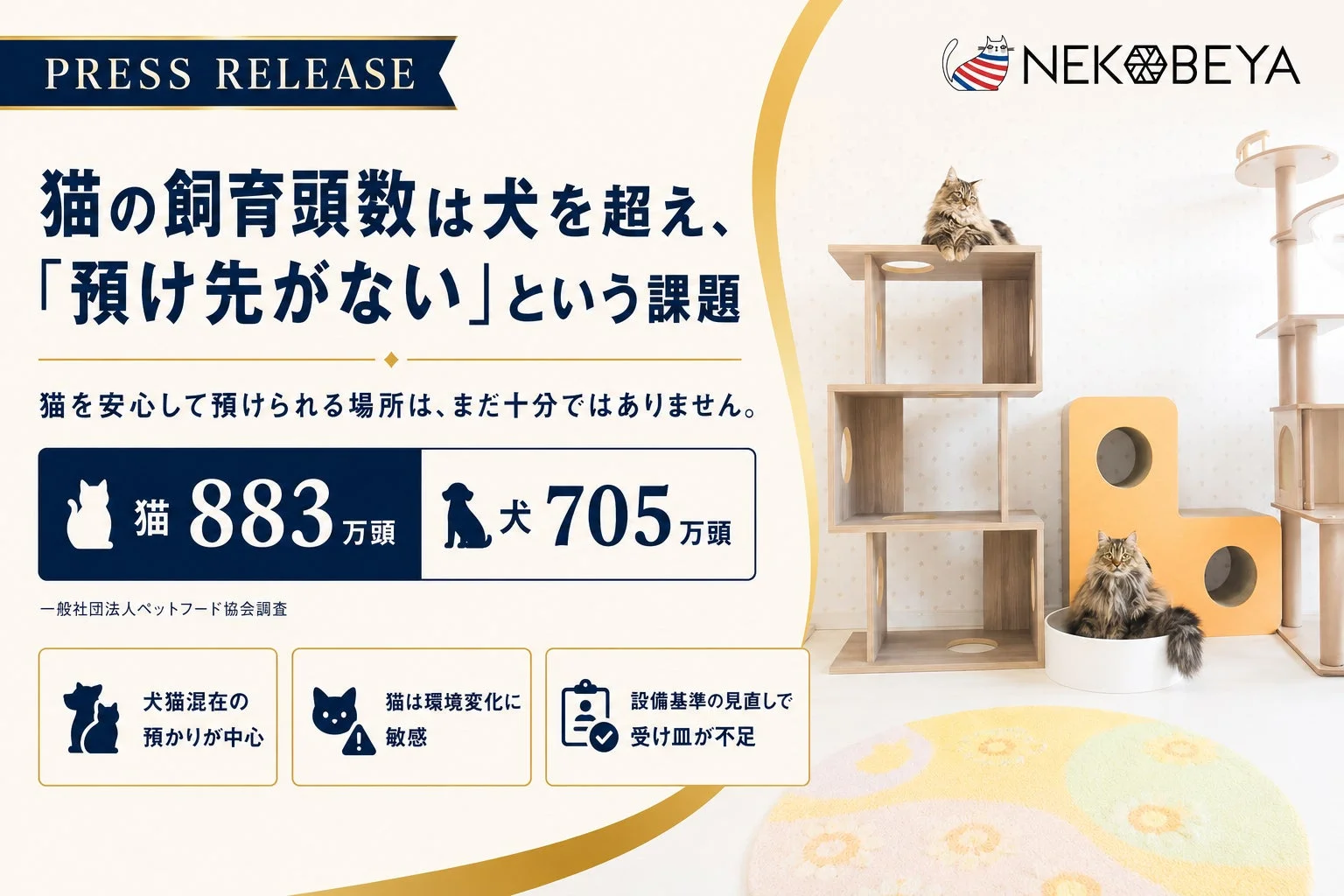 猫の飼育頭数は犬を超え、「預け先がない」という課題
