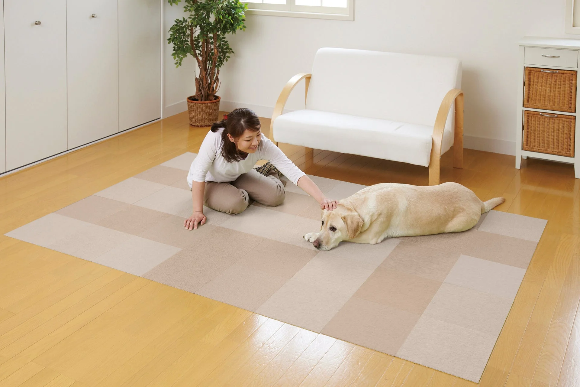 愛犬との暮らしがもっと快適に！サンコー「バリアフリータイルマット」がAmazonベストセラー1位に輝いた理由