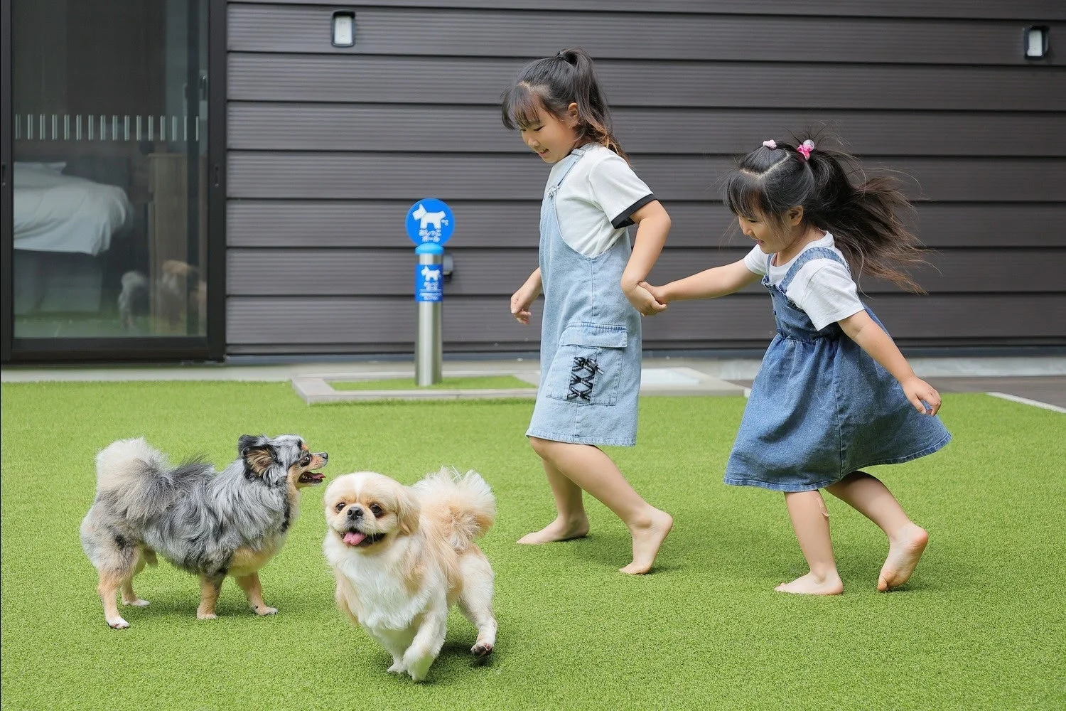 人工芝の上で遊ぶ子供と犬
