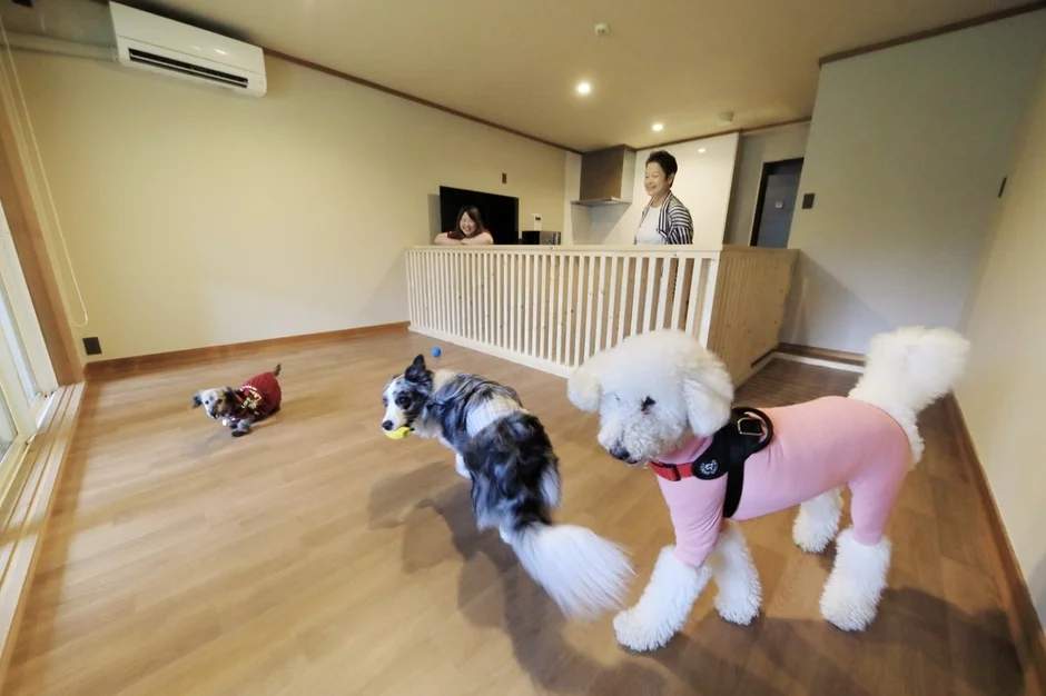 室内で犬と女性が遊んでいる様子