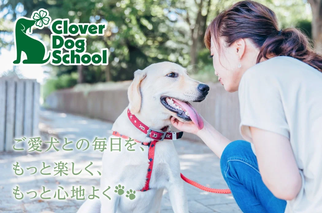 愛犬との毎日がもっと楽しくなる！WHATAWONに本格ドッグスクール「Clover Dog School」がオープン！