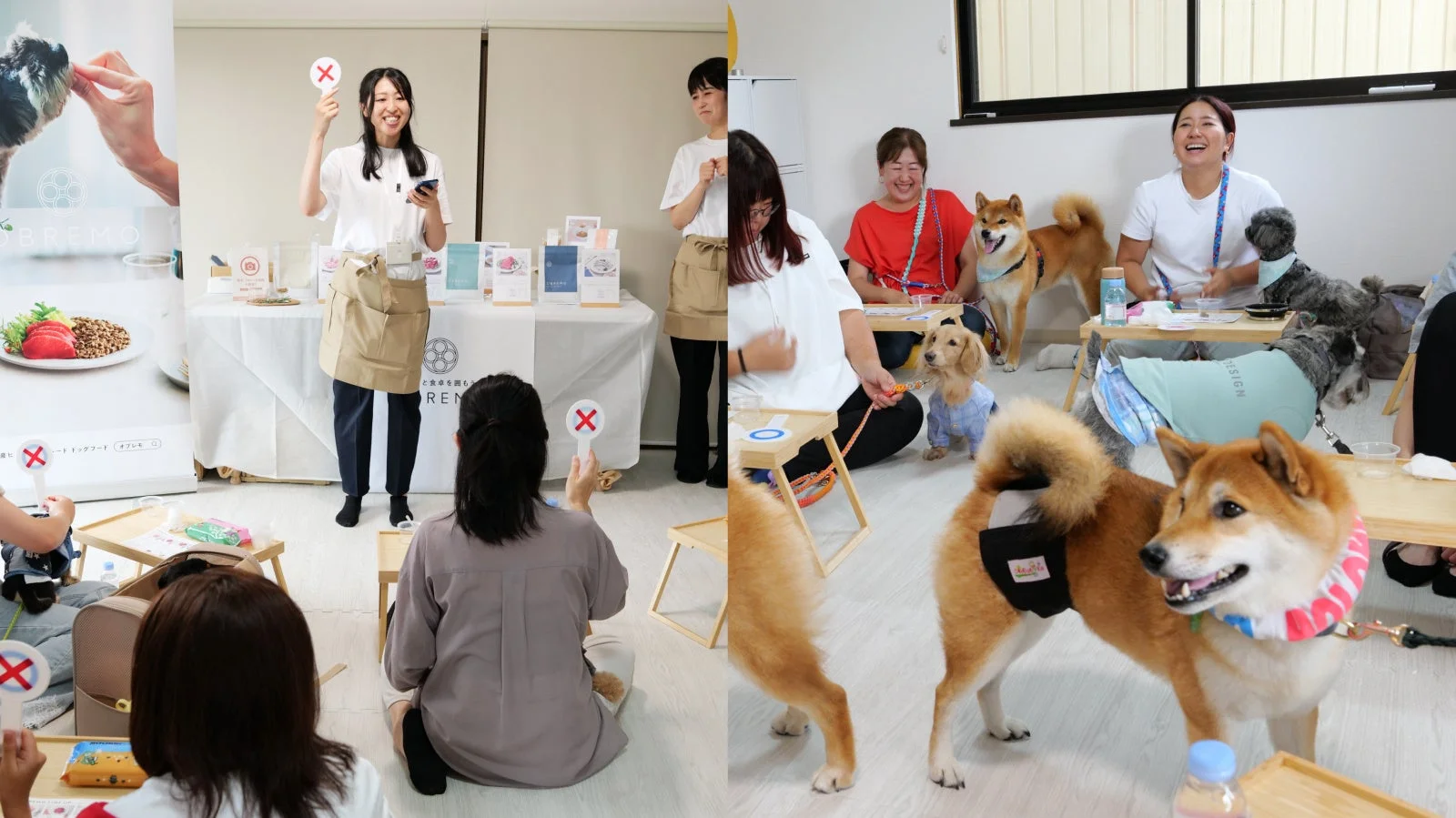 犬と飼い主が集まるドッグフード関連のイベントやワークショップの様子