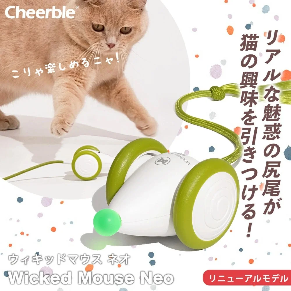 猫がインタラクティブなおもちゃで遊んでいる様子