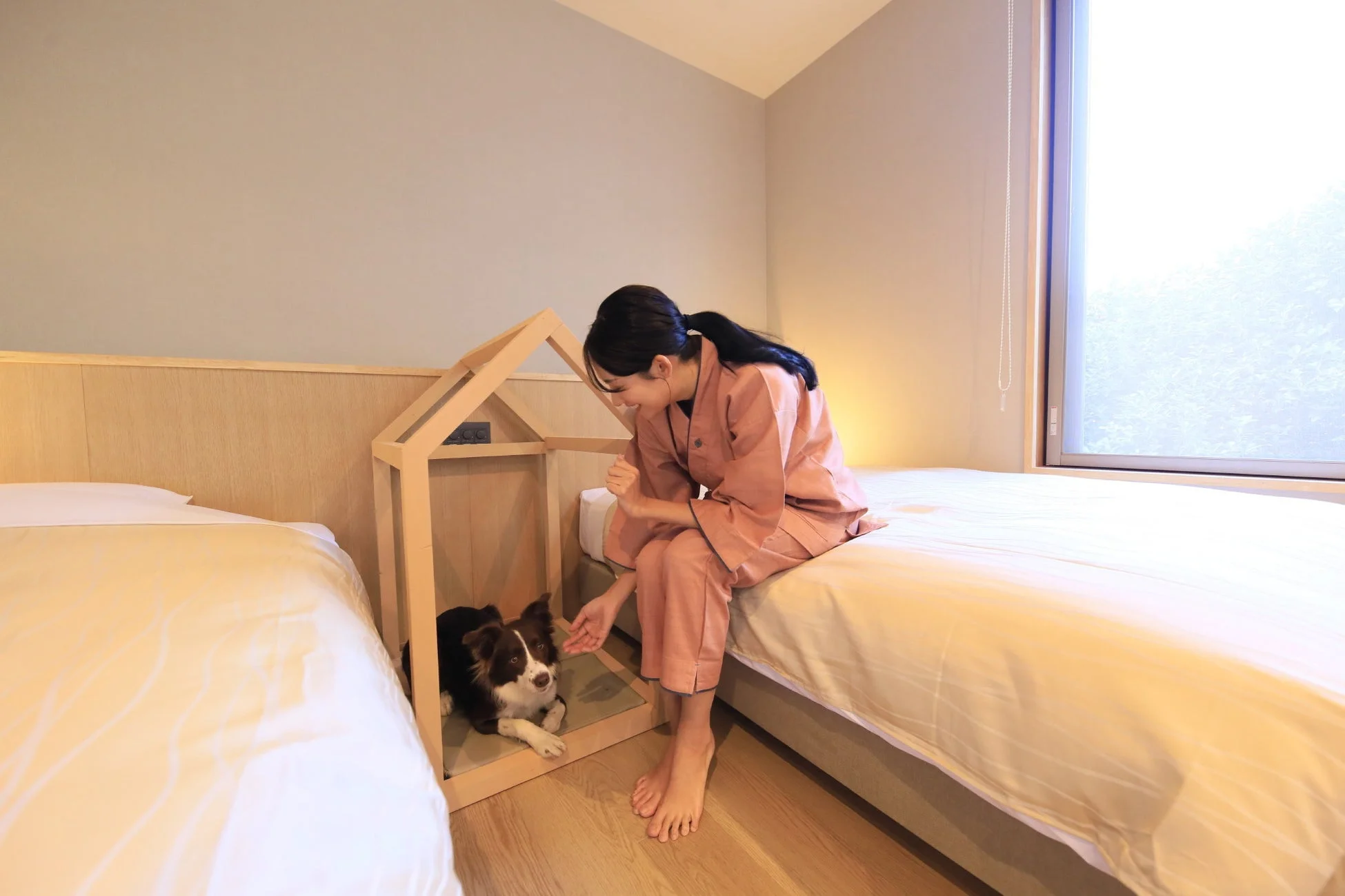 ホテル客室で女性が犬と触れ合う