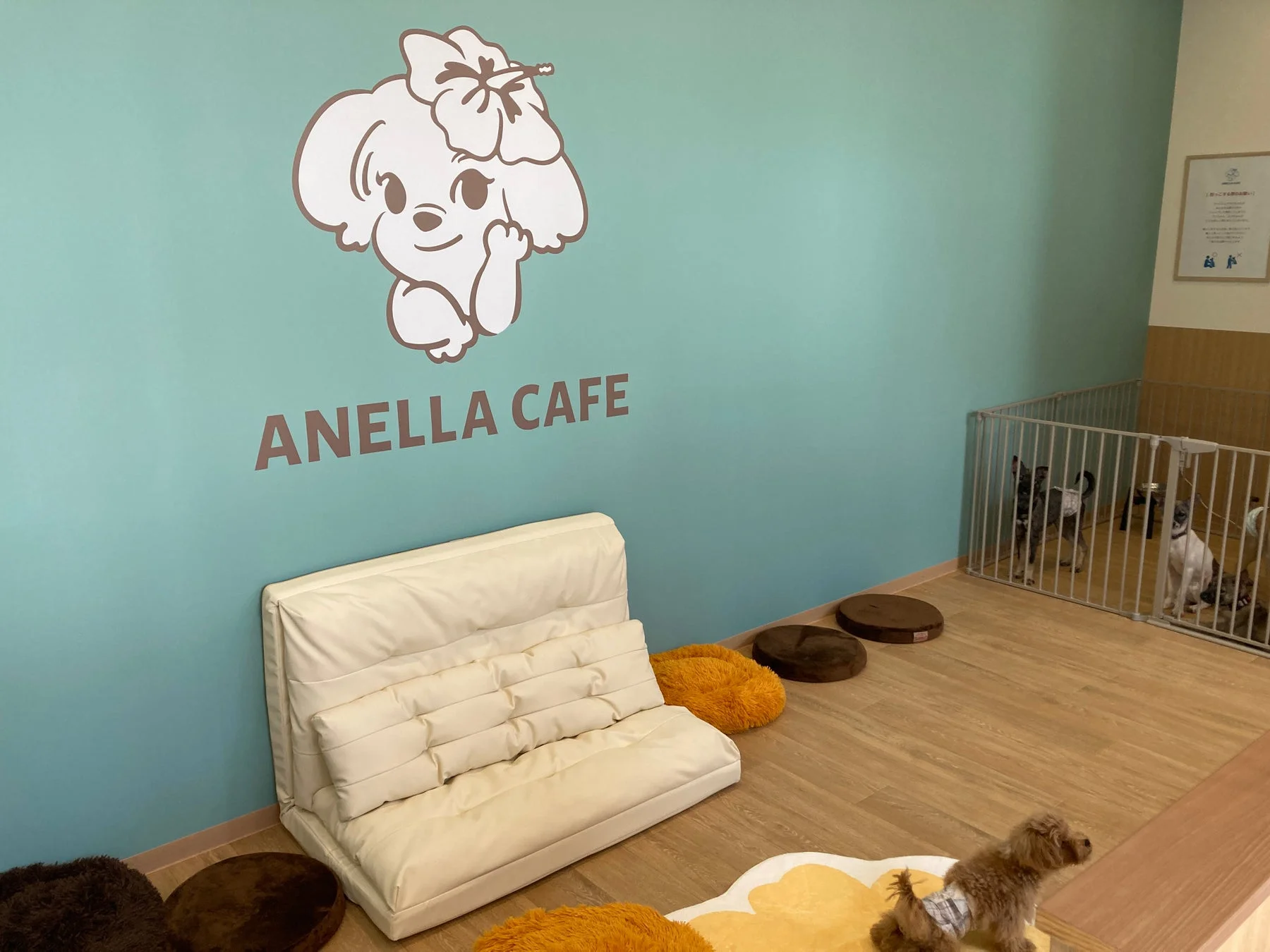 ANELLA CAFEのドッグカフェ室内