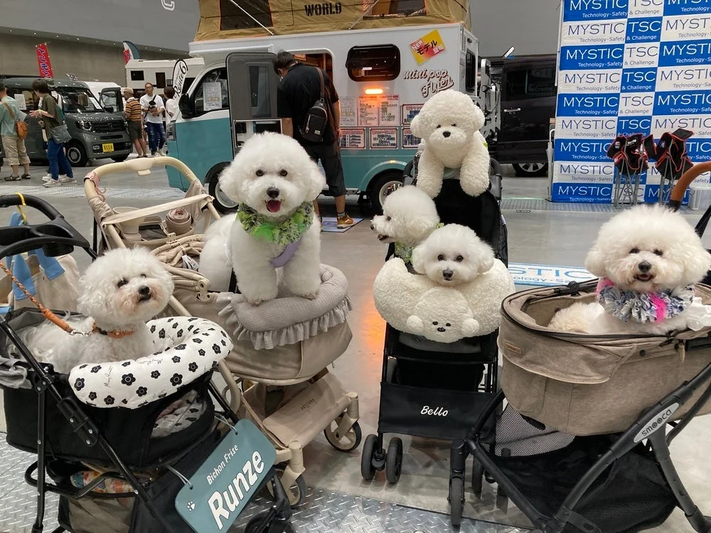 ペットカートに乗った犬たち