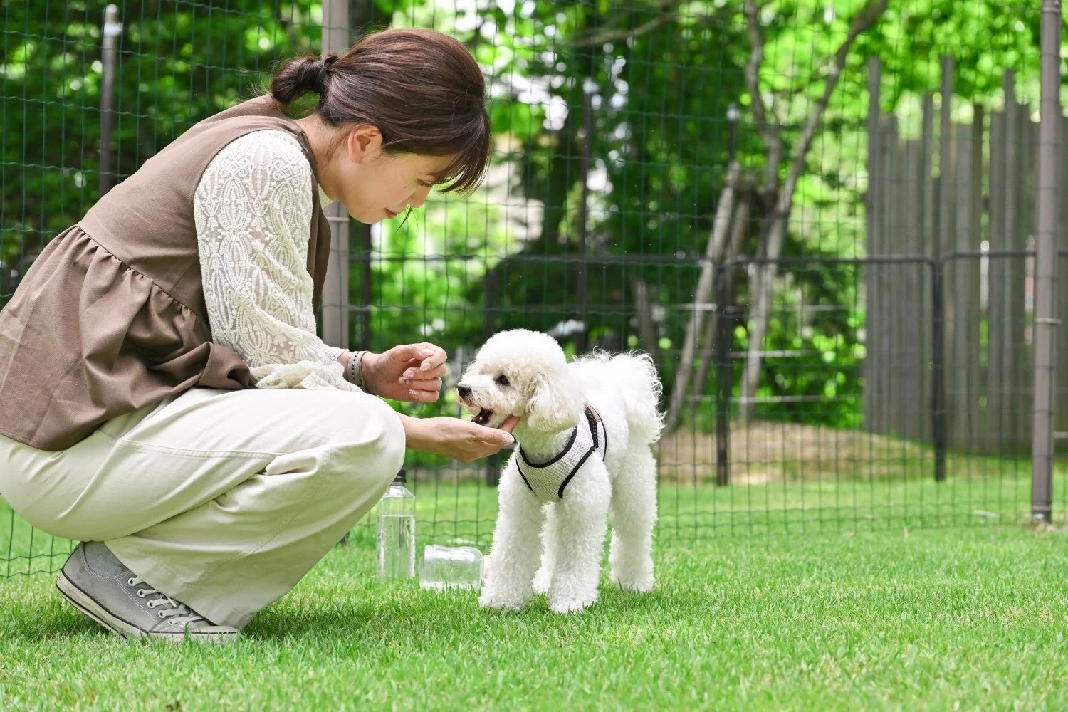 女性と犬がドッグランで交流