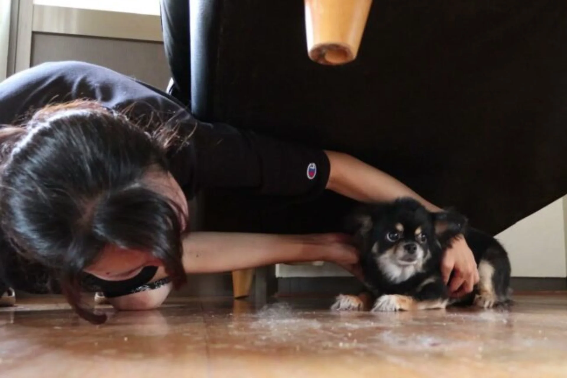 犬と女性、室内
