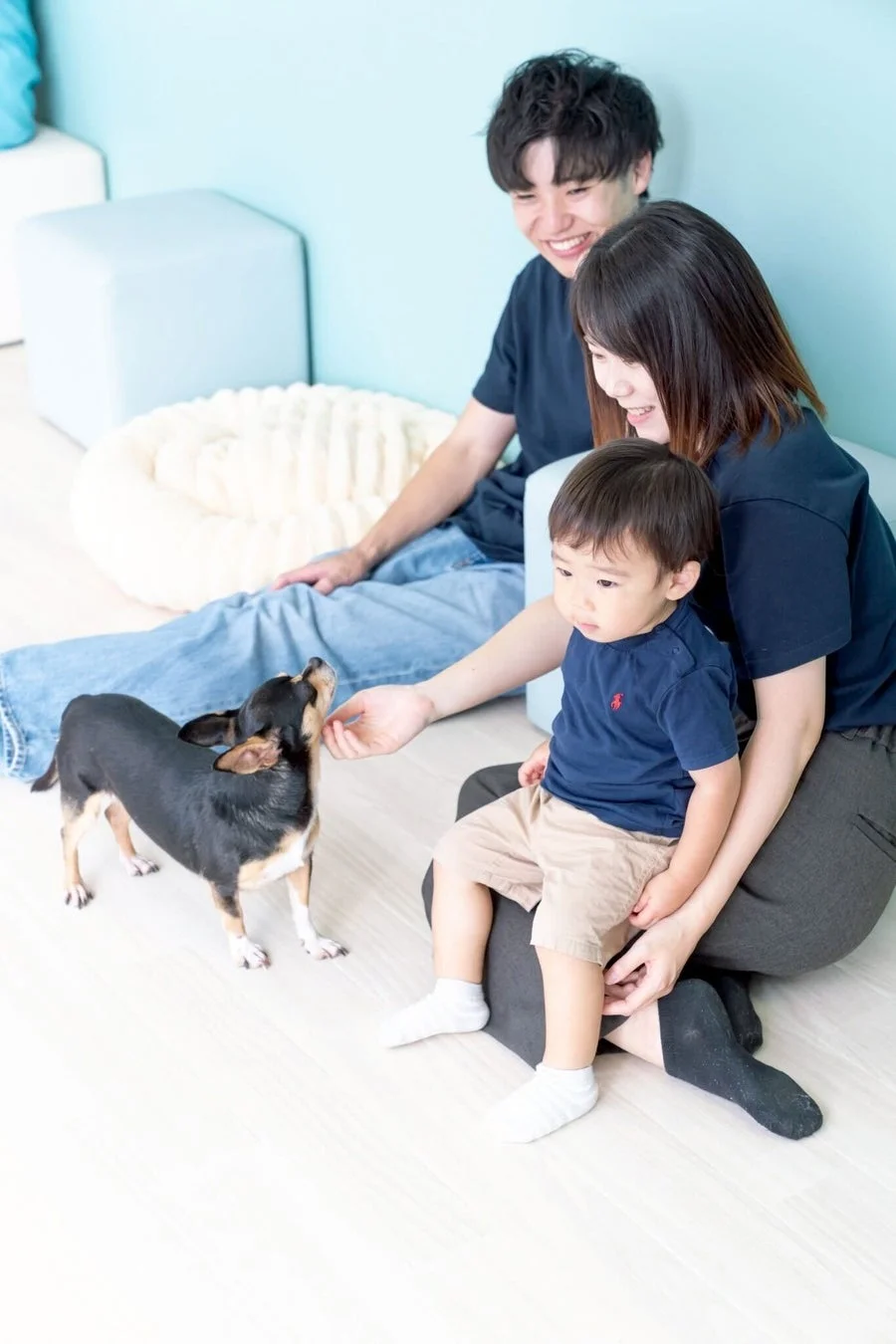 家族とチワワの触れ合い