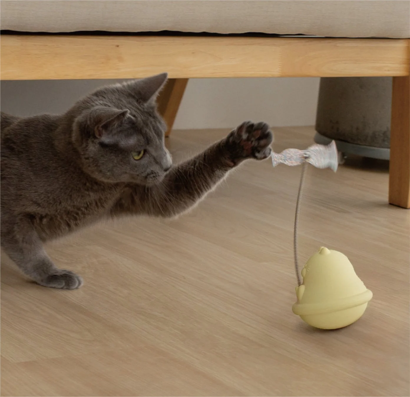 床じゃらしで遊ぶ猫