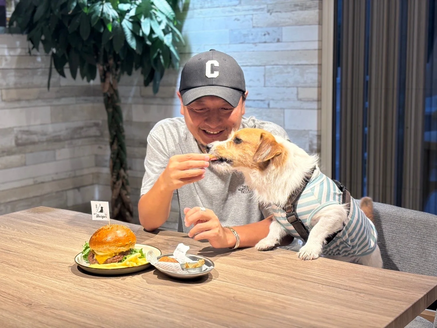 ドッグカフェで愛犬と食事をする様子
