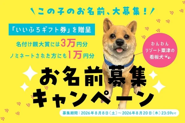 わんわんリゾート 粟津の新しい仲間！看板犬のお名前をみんなで決めちゃおうキャンペーン開催！