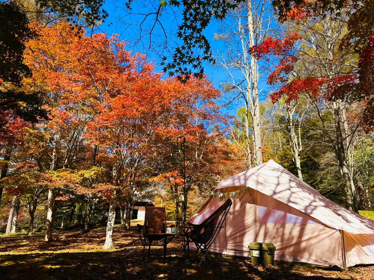 キャンプ場の紅葉