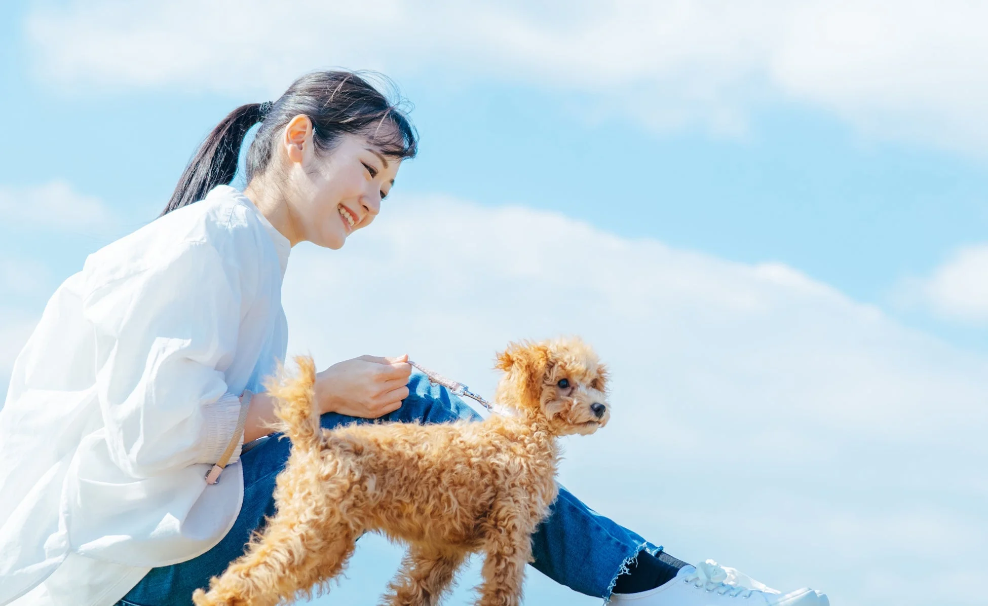 犬と女性の散歩