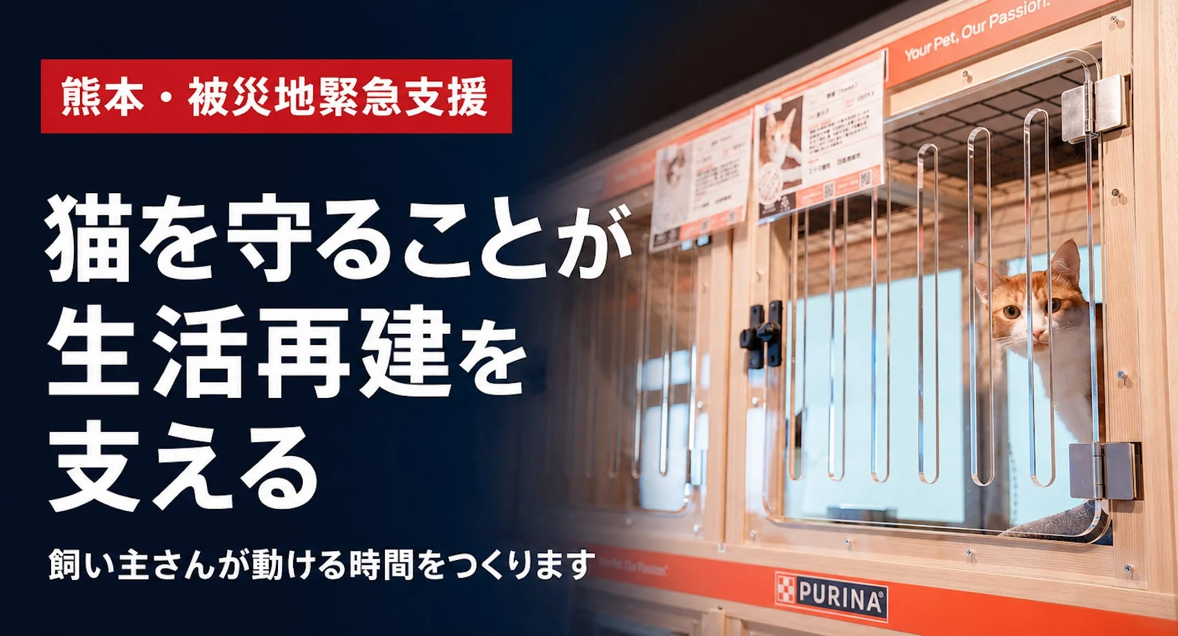 熊本・被災地緊急支援 猫を守ることが生活再建を支える