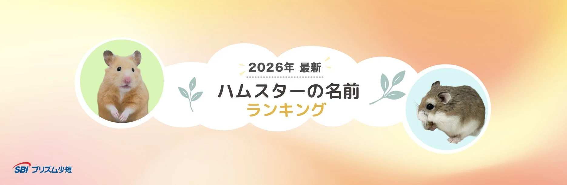 2026年最新ハムスターの名前ランキング