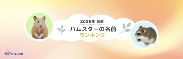 2026年最新！ハムスターの名前ランキング発表！今年は「きなこ」が堂々の1位に！