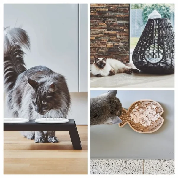 猫好きさん集まれ！自由が丘で「Life with Cat」イベント開催！愛猫との毎日をもっと素敵にするアイテムが勢ぞろい♪