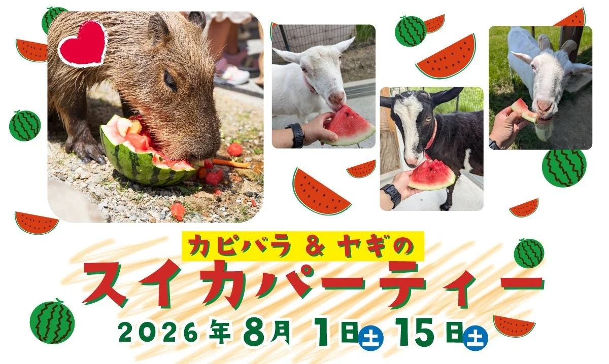 スイカを食べるカピバラとヤギ