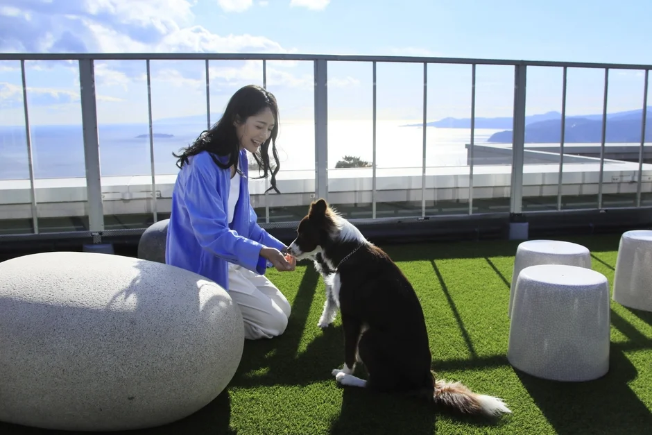 屋上テラスで女性が犬に餌をあげている様子