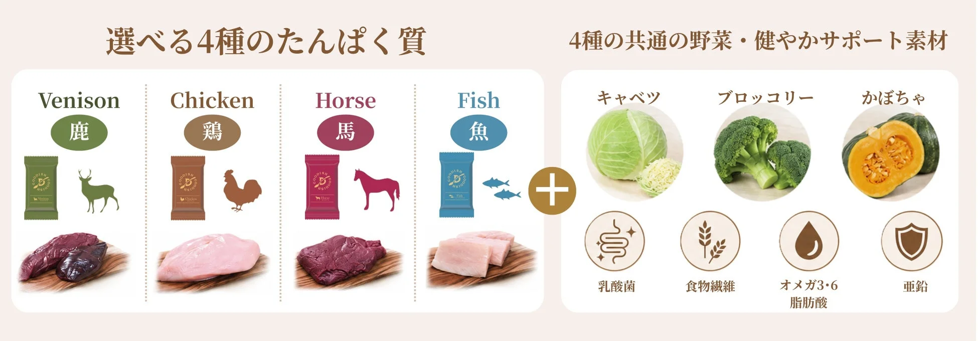 選べる4種のたんぱく質