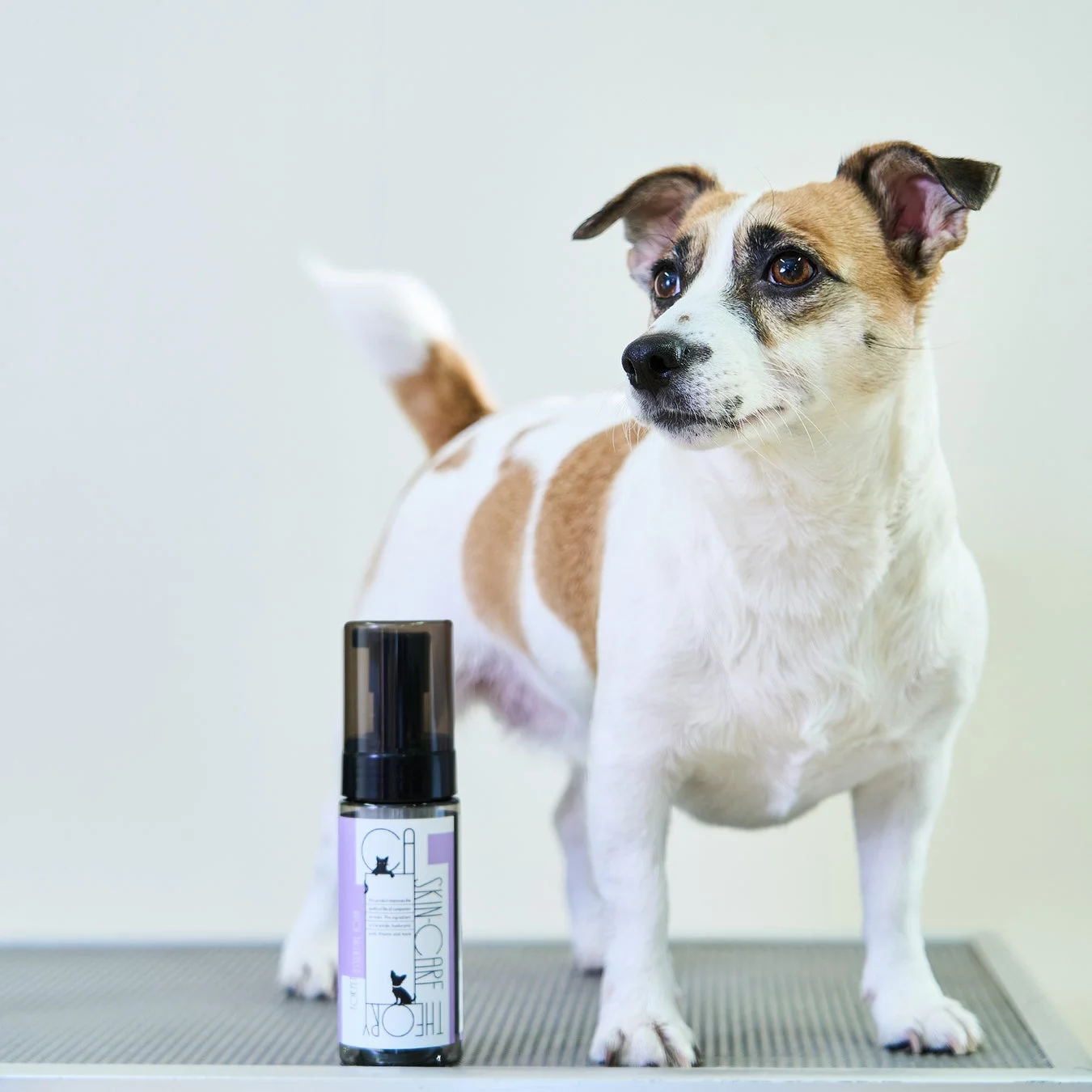 ジャックラッセルテリアのような犬とペット用スキンケア製品