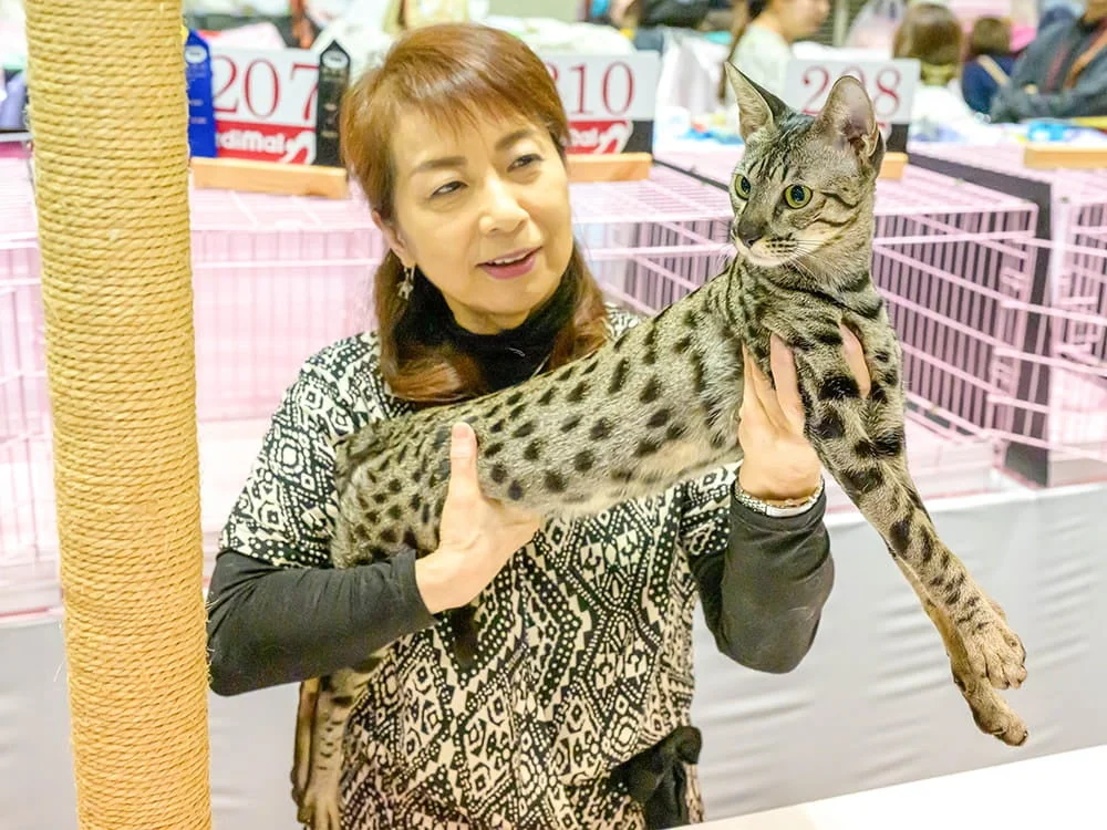 キャットショーで猫を抱きかかえる女性