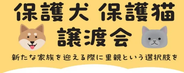 新しい家族と出会えるチャンス！綿半で2026年9月の保護犬・保護猫譲渡会スケジュールが決定！