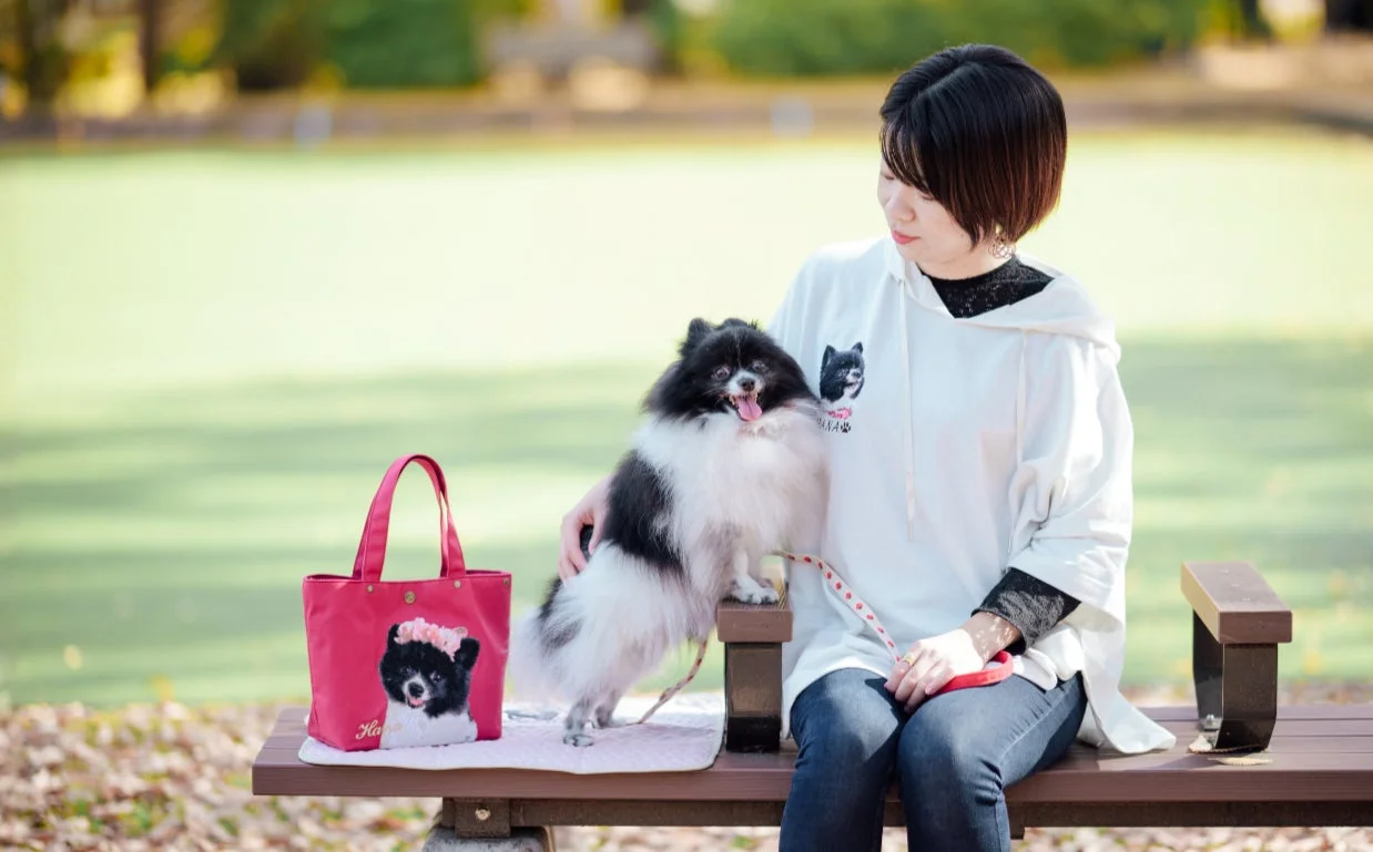 公園のベンチで犬と女性