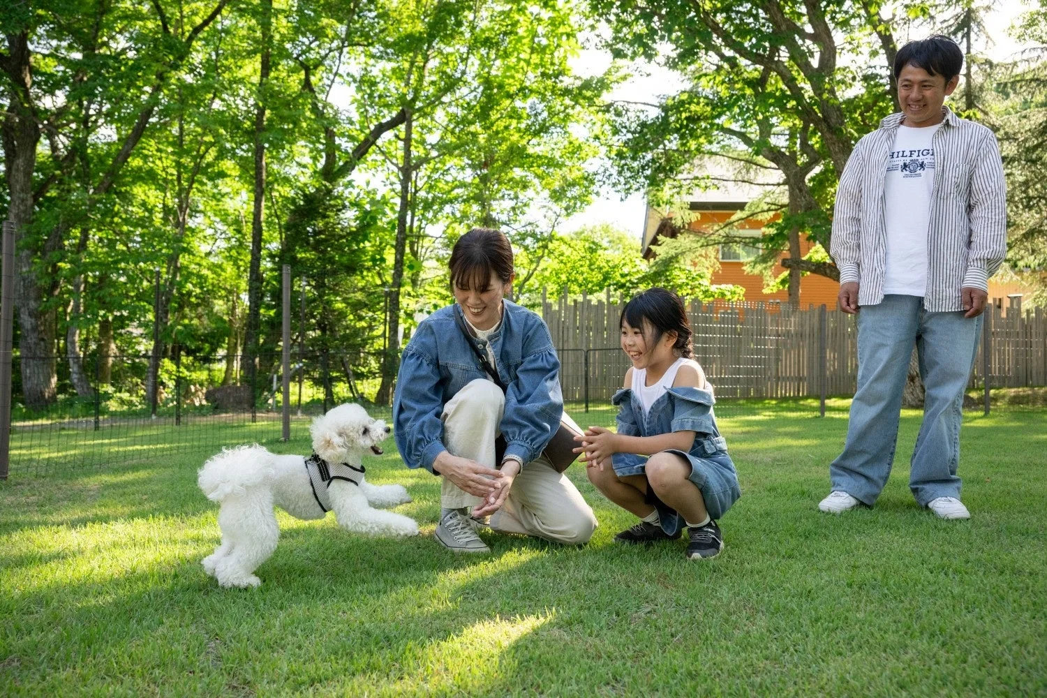 家族と犬が公園で遊ぶ