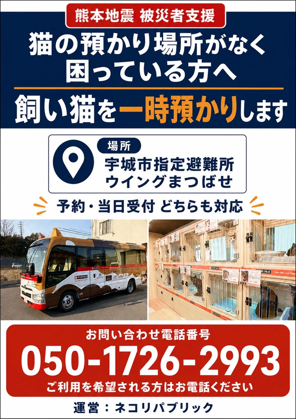 熊本地震 被災者支援 猫の預かり場所がなく困っている方へ 飼い猫を一時預かりします