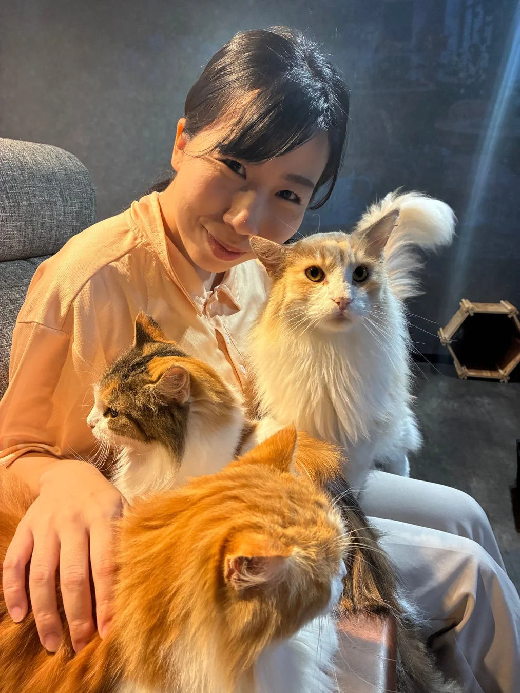ソファに座って笑顔を見せる女性が、3匹の猫に囲まれている様子