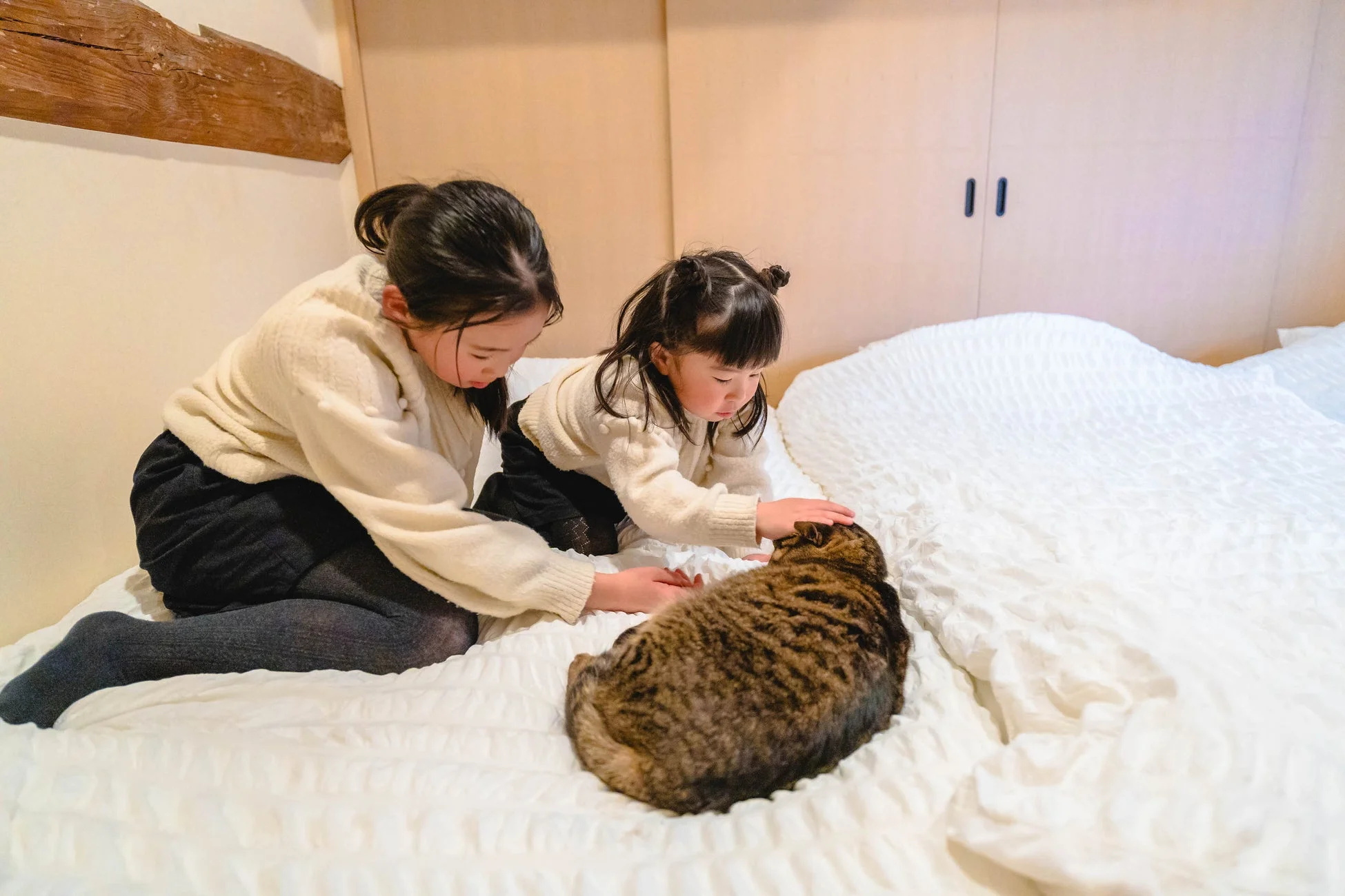 ベッドで猫と触れ合う子供たち