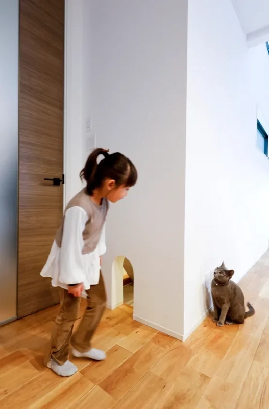猫も人もハッピー！しっくいの壁で叶える、健康＆快適な暮らしのヒミツ