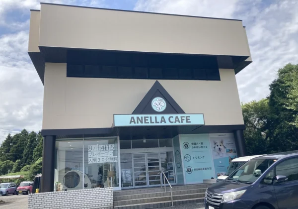 【茨城初上陸！】保護犬猫と心通う癒やしの空間「ANELLA CAFE 日立店」が8月14日(金)オープン！