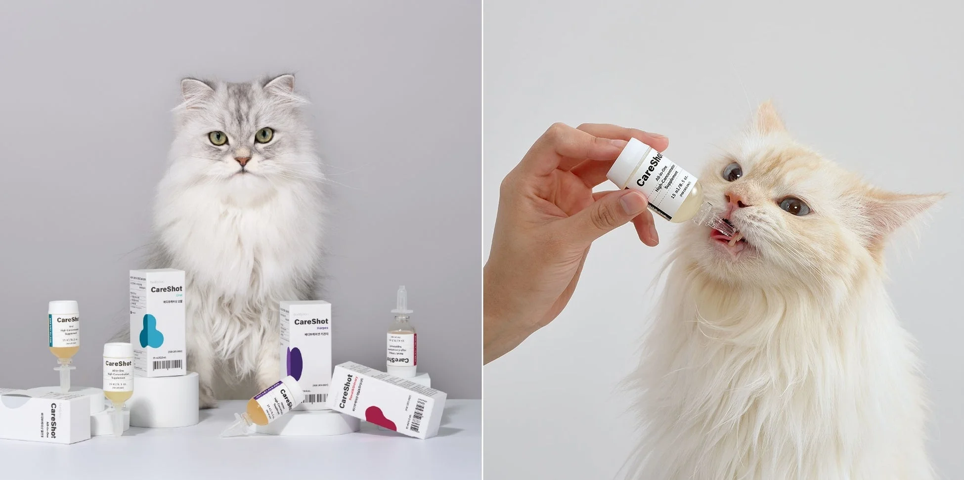 猫とペット用サプリメント「CareShot」