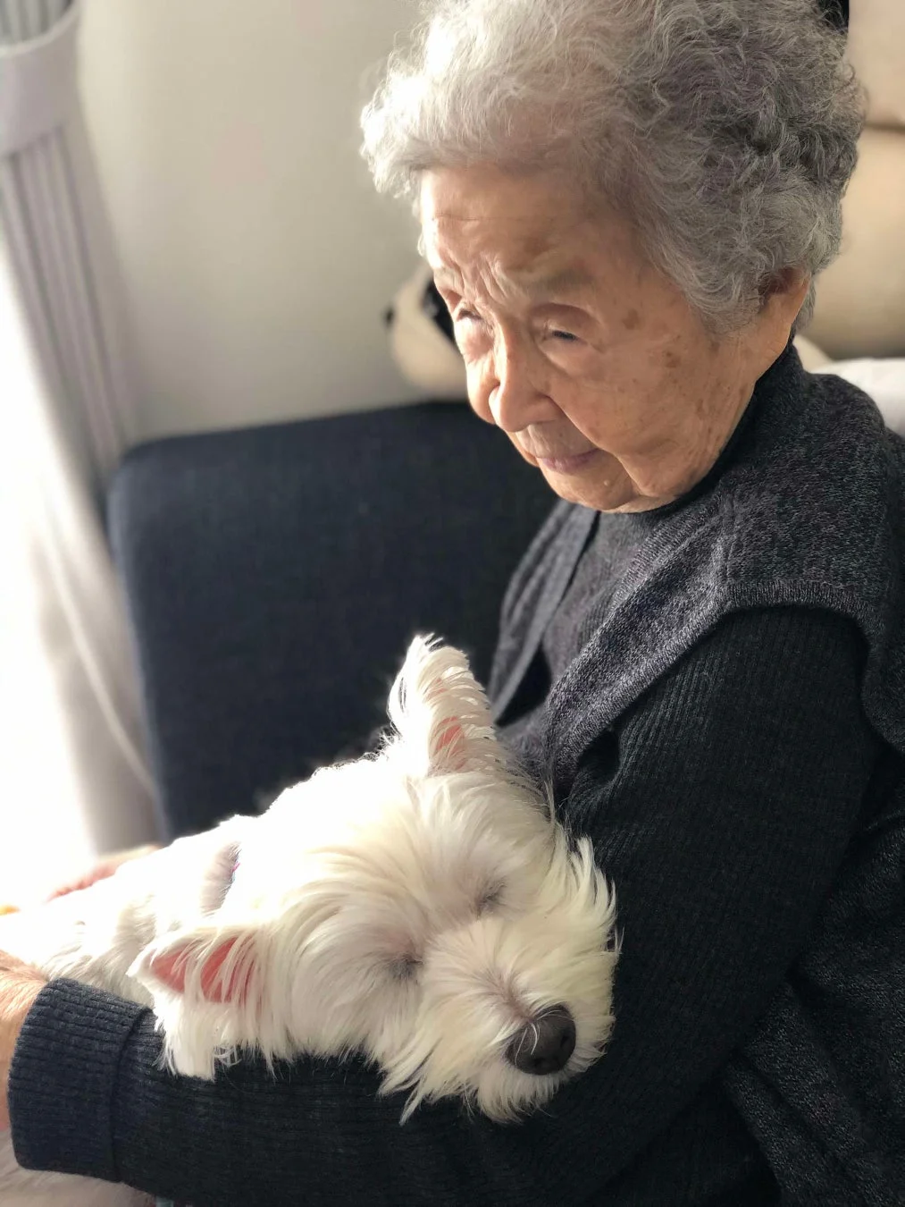 高齢の女性が白い小型犬を優しく抱きかかえています。犬は女性の腕の中で気持ちよさそうに眠っており、二人の間に穏やかで愛情深い絆が感じられる心温まる瞬間です。