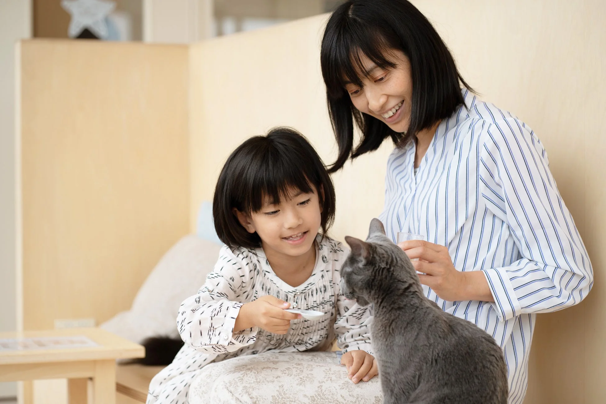 親子と猫