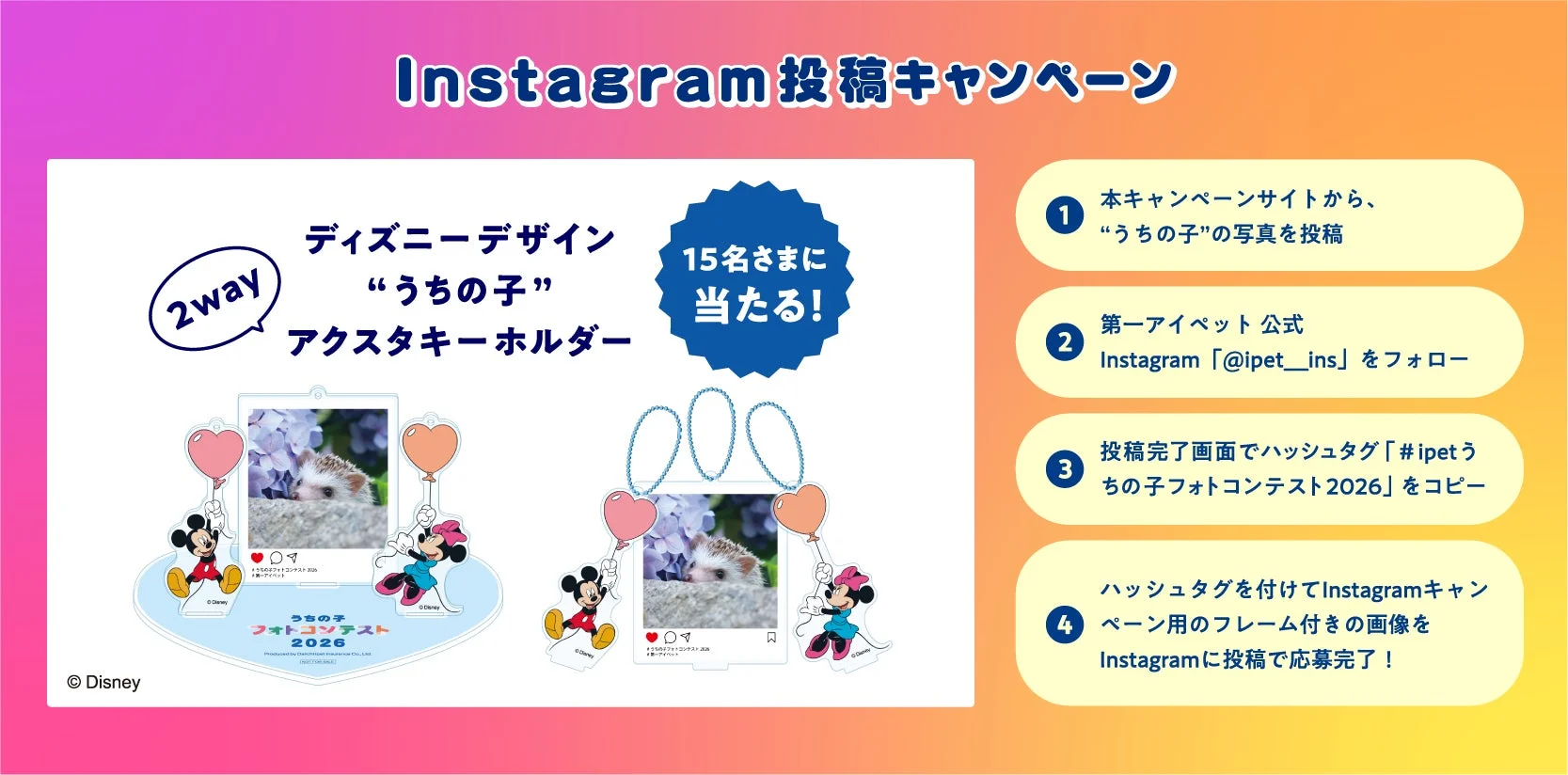 Instagram投稿キャンペーンの告知