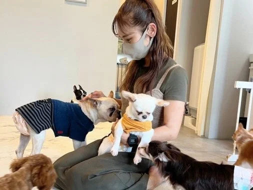 ANELLA CAFE 女性と犬たち