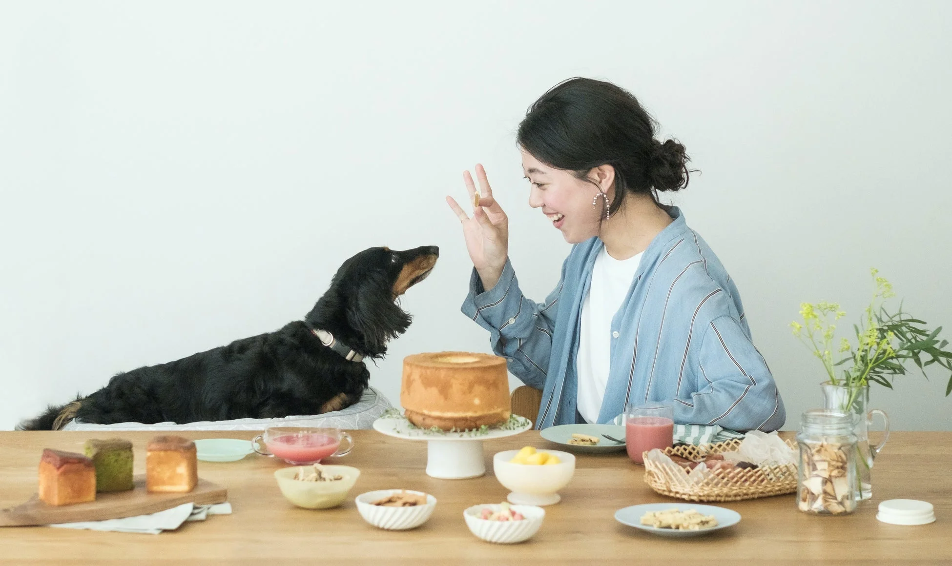 女性とダックスフンドがケーキを楽しむ画像