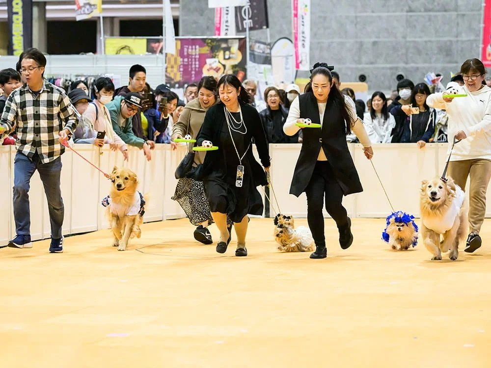 飼い主と愛犬が競技に参加する様子