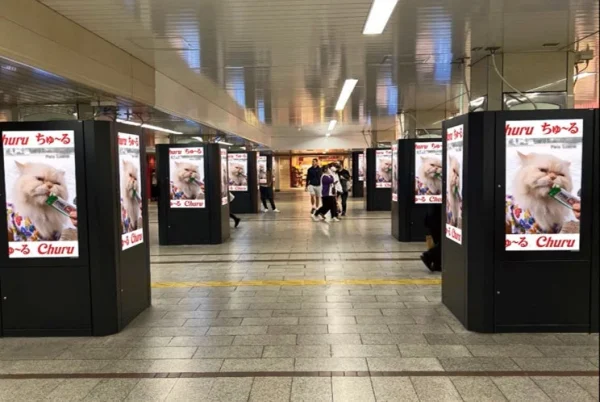 大阪なんば駅が「ちゅ〜る」一色に！44面ビジョン広告で癒やしの空間を体験しよう！