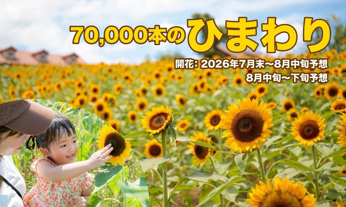 ひまわり畑と子供